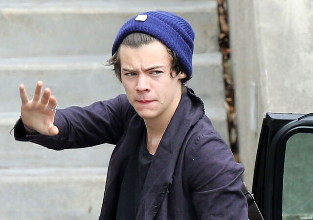 File:Harry Styles - Paris.jpg