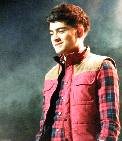 File:Zaynhaircut.png