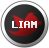 File:Buttonliam.png