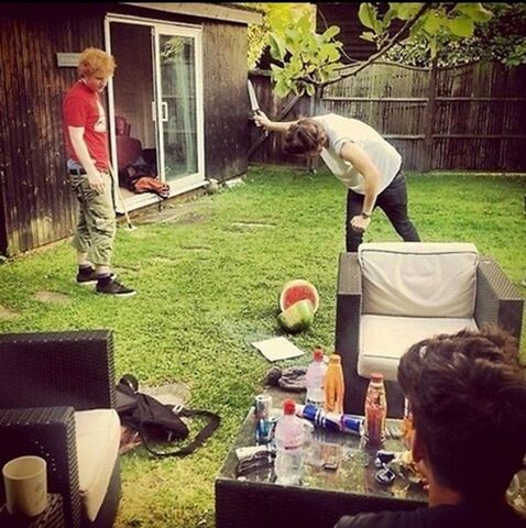 File:Ed+Sheeran+with+One+Direction+twitter+pic.jpg