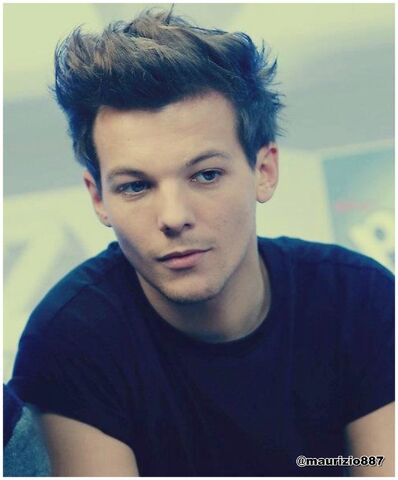 File:Louis-tomlinson-2013-one-direction-33214741-1327-1600.jpg