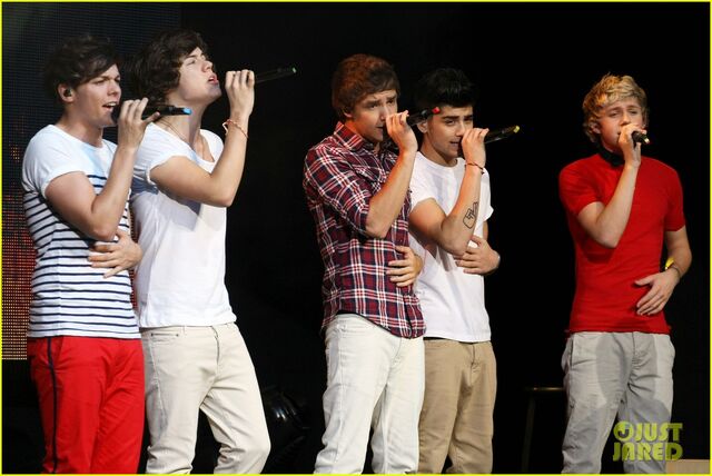 File:One-direction-beacon-theatre-concert-pics-11.jpg
