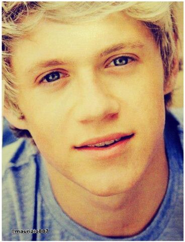 File:Niall-Horan-2012-one-direction-32795580-1227-1600.jpg