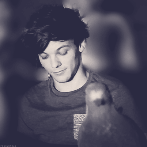 File:LOUIS 500.gif