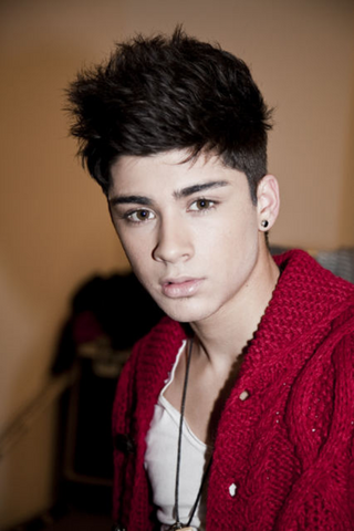 File:ZAYN malikk.png
