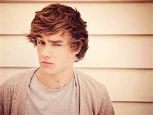 File:One directon LIAMM.jpg