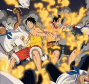 Ace i Ruffy.jpg