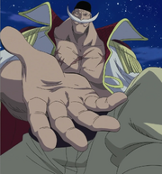 Barbablanca de nit.png