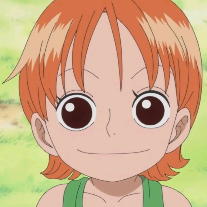 FitxerNami petita portrait.png One Piece Català Wiki Fandom