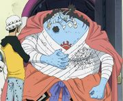 Jinbe curat.jpg