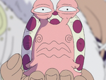 Baby lumacofono.png