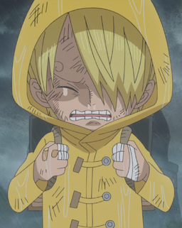 File:Sanji's Raincoat.png