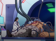 Kuma transformation.png