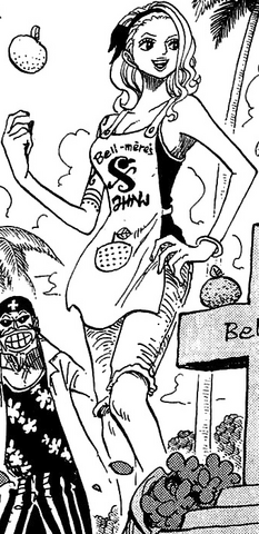 File:Nojiko Manga Post Timeskip Infobox.png