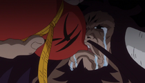 Kaido Alcool.png