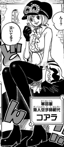 File:Koala Manga Infobox.png