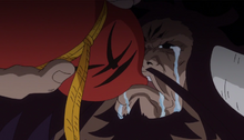 Kaido Drunk.png