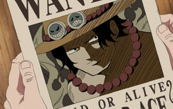 Ace taglia.png