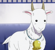 Sengoku's Goat.png