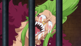Bartolomeo viendo a Zoro.png