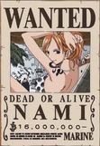 Nami's Wanted Poster