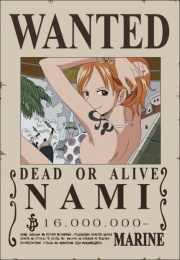 Image Nami  s Wanted  Poster  png One Piece Wiki FANDOM 