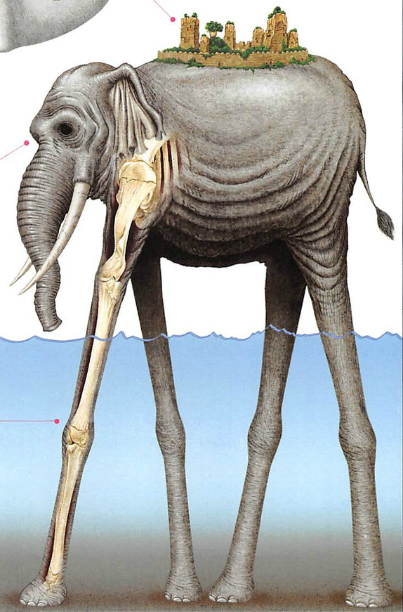 File:Zunisha.png