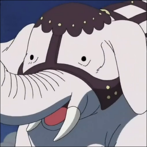 File:Funkfleed primo piano.png