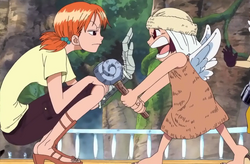 Nami Aisa.png