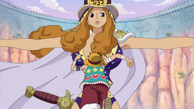File:Aphelandra Tries to Stop Luffy.png