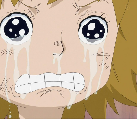 File:Koala Finally Cries.png