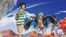 Franky and Robin Exploring.png