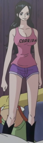 File:Robin's Post-Dressrosa Outfit.png