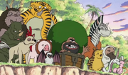Aniamis estranhos.png
