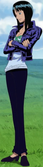File:Robin's Outfit Long Ring Long Land Arc.png
