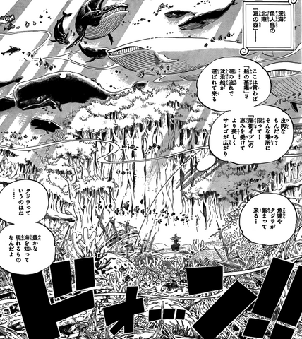 File:Foresta del mare.png