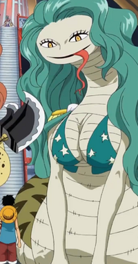 Sandersonia anaconda.png