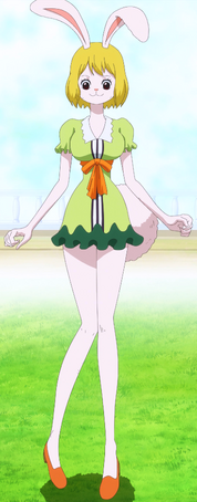 File:Carrot.png