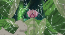 Doflamingo Ito.png