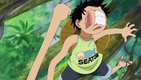 Luffy inexperto.png
