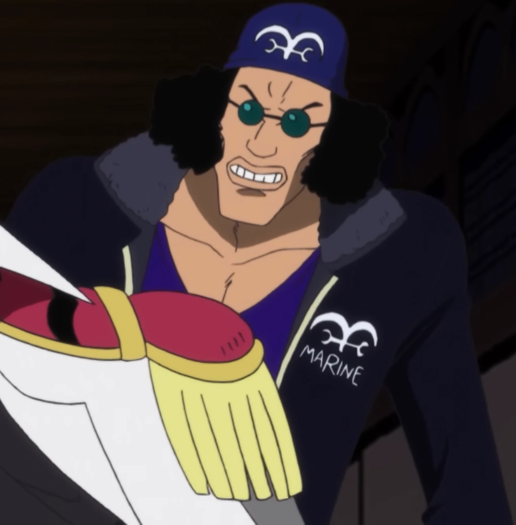 Image Kuzan at Age 22.png One Piece Wiki FANDOM powered by Wikia