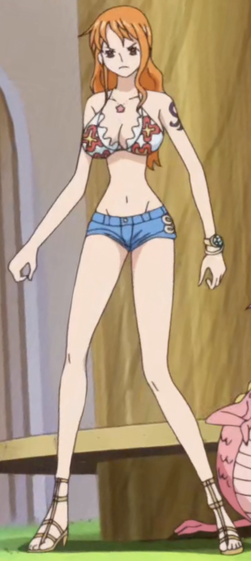 File:Nami's Full Dressrosa Outfit.png