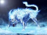 White tiger