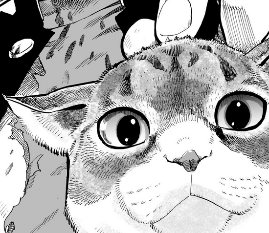 Archivo:Tama.png