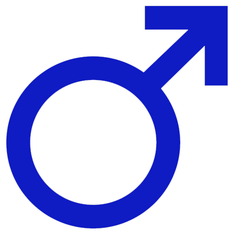 Archivo:Masculino.png