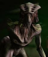 Species 8472