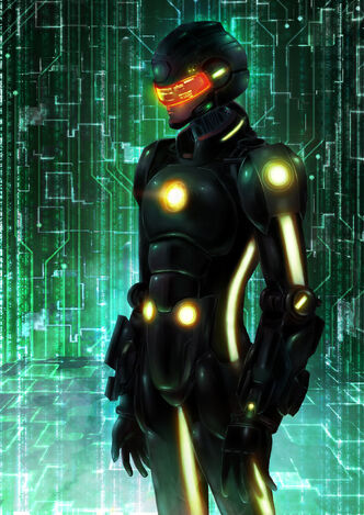 Cyberspace Firewall Incarnation