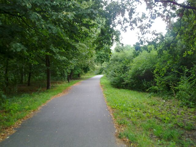 Datei:Bild 6 Radweg Falkenhöh.jpg