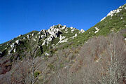 Abruzzo NP, Italy