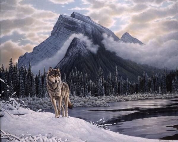 Plik:WolfIceL-633x506.jpg